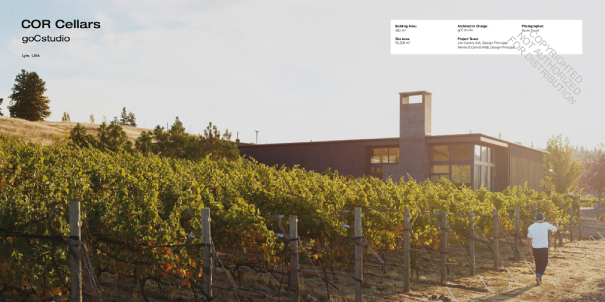 ワイン 建築 本 写真集『The Architecture of Wine』 716umRGNxsL._UF350,350_QL80_.jpg