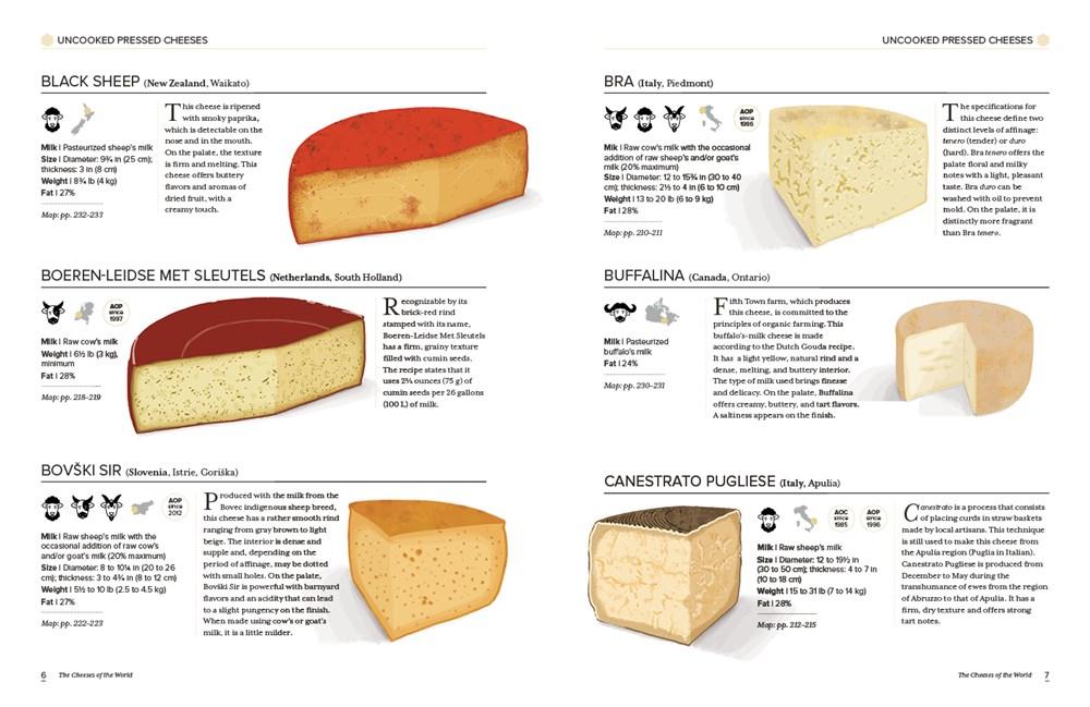FIELD GUIDE TO CHEESE CARD DECK. [Book]