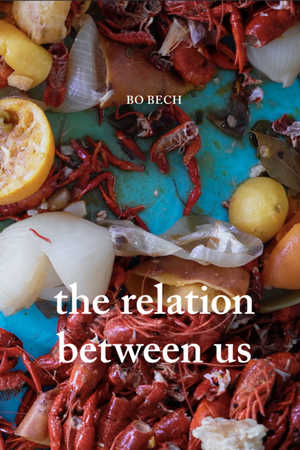 Book Cover: The Relation Between Us