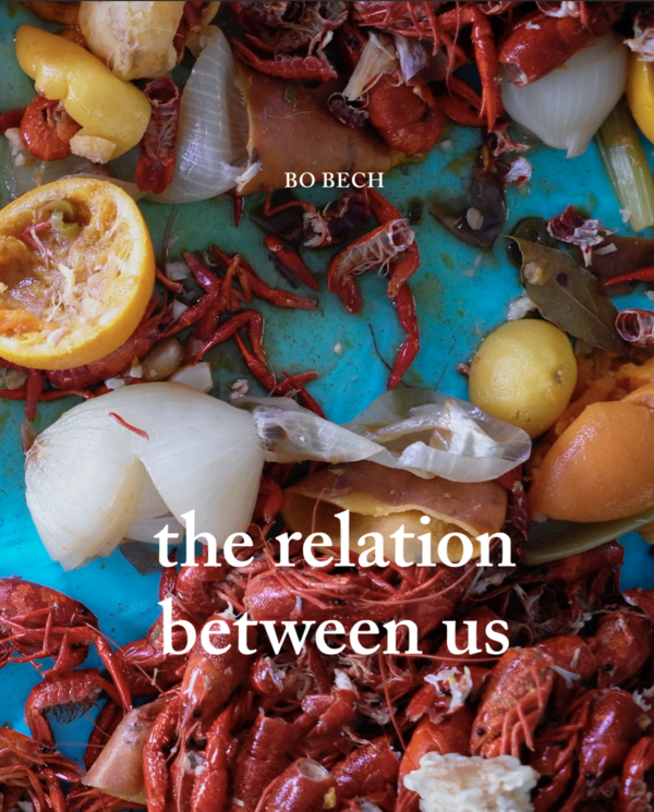 Book Cover: The Relation Between Us