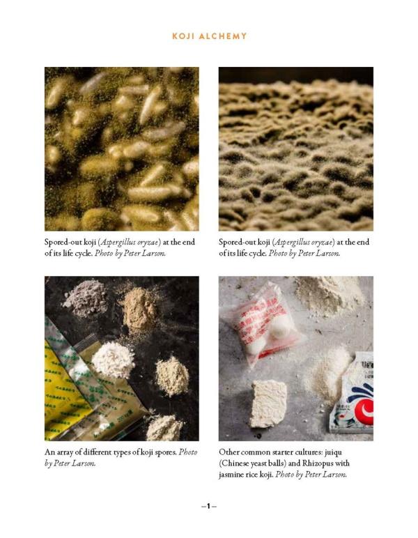 Presentation image