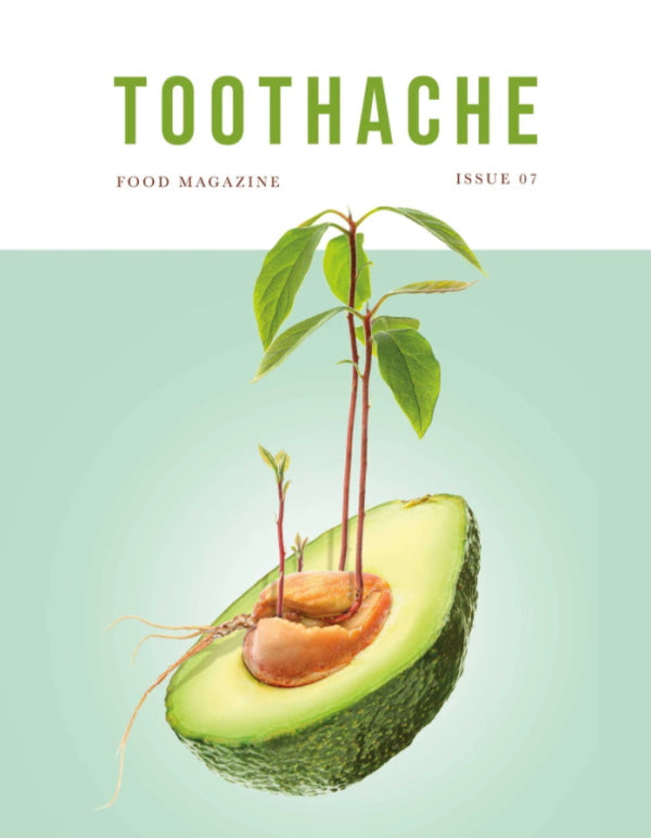 Book Cover: Toothache Magazine #7