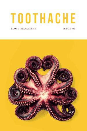 Book Cover: Toothache Magazine #3