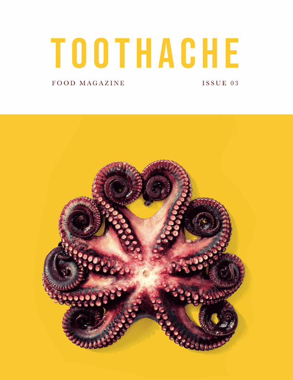 Book Cover: Toothache Magazine #3