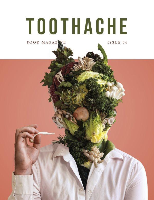 Book Cover: Toothache Magazine #4