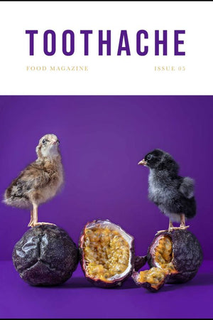 Book Cover: Toothache Magazine #5