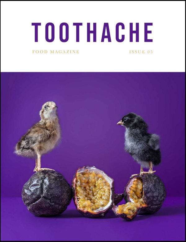 Book Cover: Toothache Magazine #5