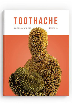 Book Cover: Toothache Magazine #9