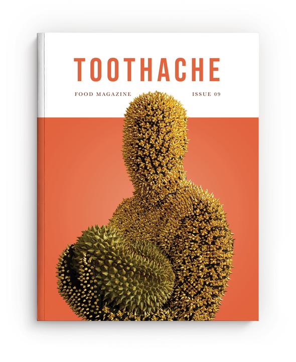 Book Cover: Toothache Magazine #9