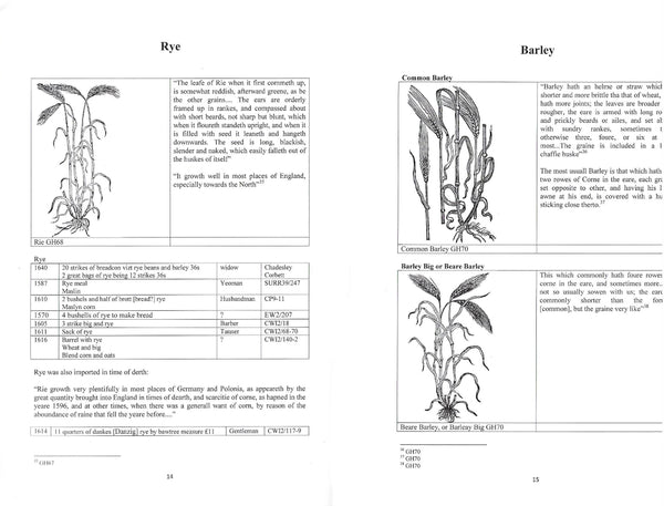 Presentation image