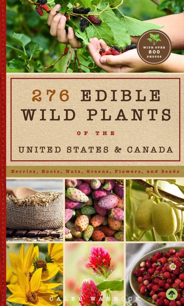 Book Cover: 276 Edible Wild Plants of the United States and Canada: Berries, Roots, Nuts, Greens, Flowers, and Seeds
