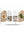 presentation image