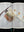 Presentation image