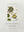 Book Cover: Nordic Family Kitchen: Seasonal Home Cooking