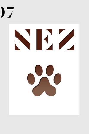 Book Cover: Nez #7: The Animal Sense