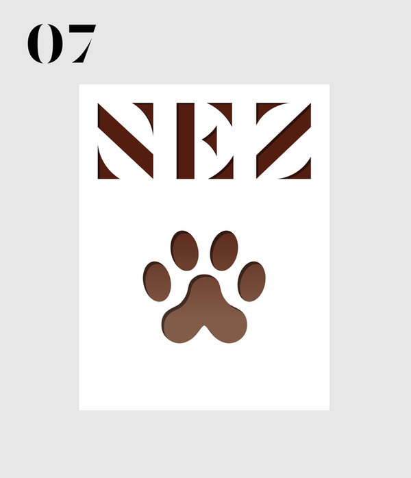 Book Cover: Nez #7: The Animal Sense