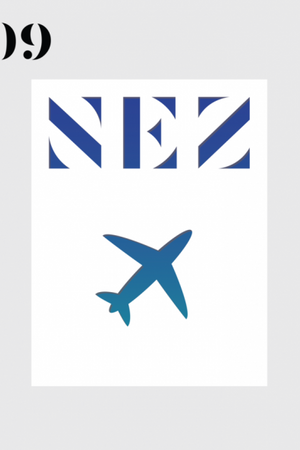 Book Cover: Nez #9: Around the World