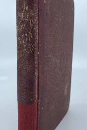 Book Cover: OP: How to Mix Drinks or The Bon Vivant's Companion